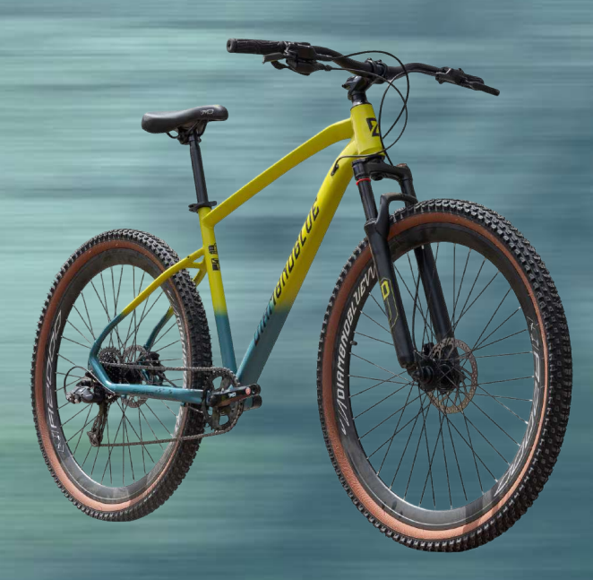 BICICLETA MTB